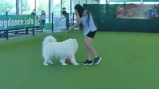 Melissa Munoz con Ghiaccio - fs 0