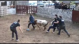 Lastur (Guipuzcoa Prueba de Reses 24-03-2015 Gorriti