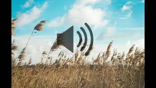 wind sound effect | wind blowing sound effect | copyright free sound effects