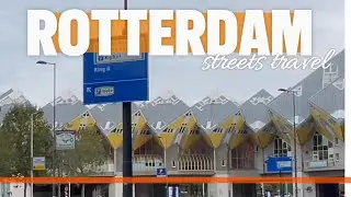 Unseen Rotterdam: Hidden Gems and Local Spots