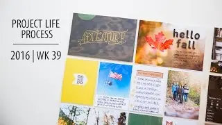Project Life Process 2016 | Week 39