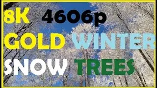 [FUHD+] Beautiful Snowy trees in sky 8K 60FPS or 9K