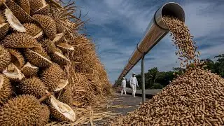 Inside a High-Tech Factory Transforming Durian Shell Waste
