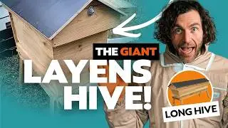 Layens Hive Review UK - Hyde Hives Setup, Management, and Real Pros and Cons
