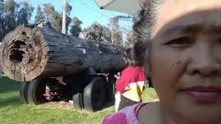 THE HILLBILLY CIDER IN THE FOREST#travel #tour#ofw