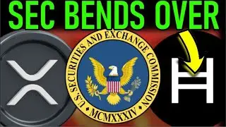🛑XRP HBAR SEC DECISION 🛑POLYGON TROUBLE🛑
