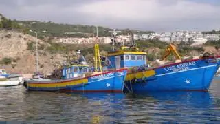 Vira de Sesimbra   Gina Maria