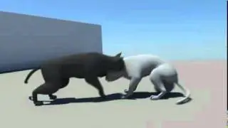 Cat Fight Animation - Maya