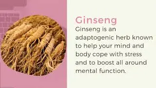 Herbs to Boost Brainpower