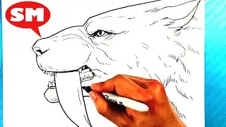 EASY How to Draw SABERTOOTH TIGER