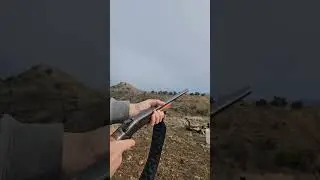 Apple vs. 357 Magnum!  #shooting #shotgun #357magnum #rangeday #12gauge