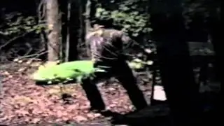 CuteWinFail: Redneck vs. Alligator
