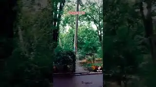 Это Одесса,детка! Два в одном! Просто гром и сирена!