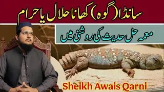 Is it halal or haram to eat cow meat? Sheikh Awais Qarni 