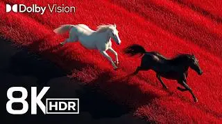 EXTREME COLOR IN FAST MOTION | 8K HDR 120FPS Dolby Vision&trade;