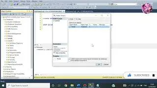 Drop Database in sql server management studio