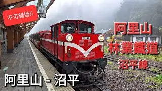 阿里山小火車 | 林業鐵道 沼平線  • 阿里山 - 沼平 | Alishan Forest Railway | Zhaoping Line • Alishan – Zhaoping