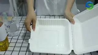 Single Compartment Compostable Clamshell Packaging Sugarcane Boxes, Biodegradable Food Containers