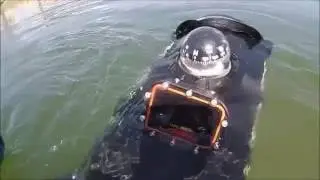 A Murky Lake Treasure Hunting Adventure