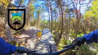 Killington Bike Park | Fall Foliage