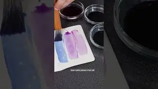 Le CHOU-ROUGE fait de la PEINTURE ? Oui, et &ccedil;a MARCHE ! 🎨💜