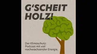 G'SCHEITHOLZ! Episode 23: CO2-Vermeidungskosten und Dividende