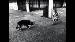 Spiegazione dentro ❤️ #dogs #dog #daughter #love #life #memory #memories #ricordi #doggos #doggies 