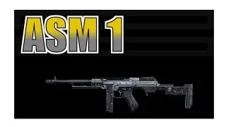 ASM1 Nerf