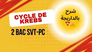 2BAC : Cours ATP | Le cycle de Krebs 🔥Lib&eacute;ration de l'&eacute;nergie emmagasin&eacute;e dans la mati&egrave;re organique