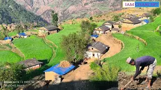 Beautiful Nepali Mountain Village Simple Happy Lifestyle | Rural Nepal Quest | Nepali Village Life