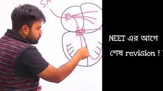 Final revision for NEET 2022