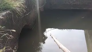 Huk fishing live 🎣🎣🎣🎣🐟