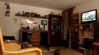 helikopter acme zoopa 150 turbo