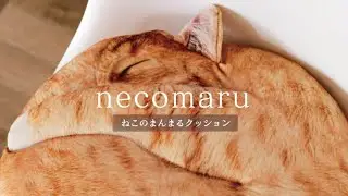 まるで猫！？な&ldquo;necomaru〜ねこのまんまるクッション〜&rdquo;でおうち時間に最高の癒しを届けたい！