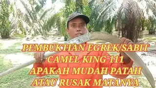 PEMBUKTIAN SABIT/EGREK/CAMEL KING 111 APAKAH MUDAH PATAH ATAU RUSAK MATANYA.