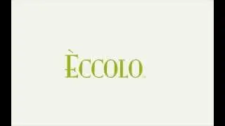 Introducing Eccolo's Wholesale Order Platform
