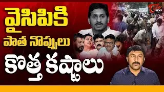 YSRCP Leaders Facing Police Cases | Legal Troubles Mount for Jagan | Tone News | #telugunews