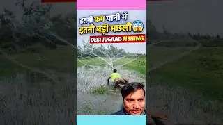 इतनी कम पानी में इतनी बड़ी मछली 😱 | Desi Jugaad Fishing | Village Shorts #desi #fishing #shorts