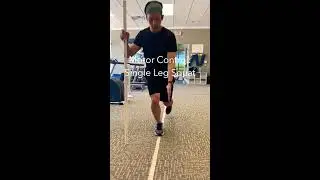 Motor Control: Single Leg Squat