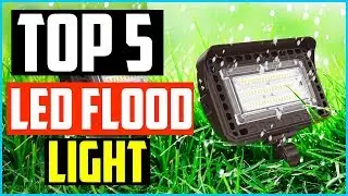 Top 5 Best LED Flood Light in 2026 &ndash; Reviews