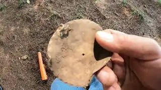 Metal Detecting a Michigan Park