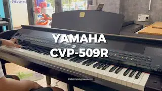 Review piano Yamaha CVP-509R d&agrave;nh cho người biểu diễn chuy&ecirc;n nghiệp