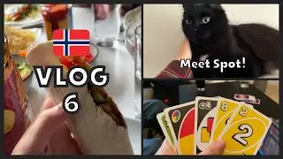 What is &lsquo;tacofredag&rsquo;? The history of tacos in Norway! 🌮  Visiting a friend! 🎲 - VLOG 6 ⭐️ 12.2.2023