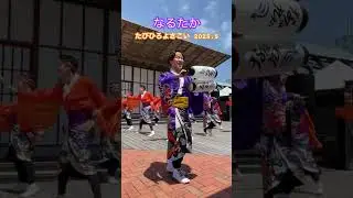 なるたか　「FLY」　たびひろよさこい　GW拡大版 2025.5.4