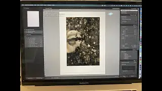 In the studio printing pigment transfers