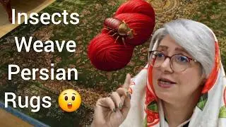 Secret Lives of Persian Rugs in IRAN 🐞