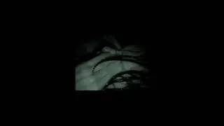 9mice - BEAUTY IS TERROR (asphalt leak)