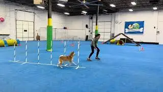 NADAC video trial 3/8/24