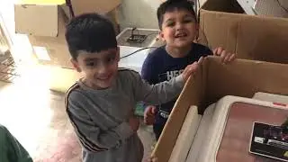 Chicken incubation process / home breeds