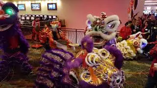 Chinese Dance Troup - Red Hawk Casino Feb 10th 2019